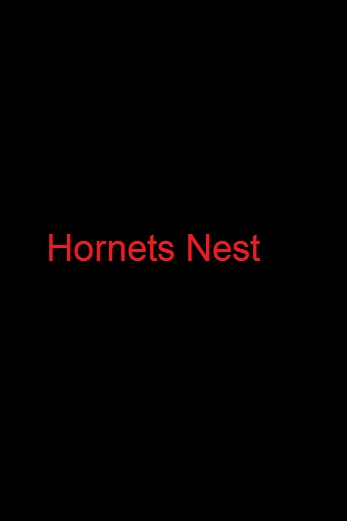 دانلود فیلم Hornets Nest 1970